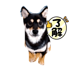 ayumi_20220113082548