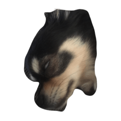 RlRl