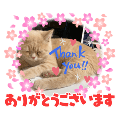 akiko_20220113135035