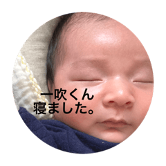 miki_20220113114031
