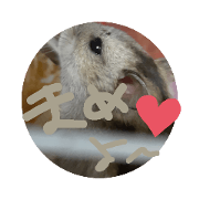 hamsters_20220113141054