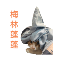 橘貓蓬噗