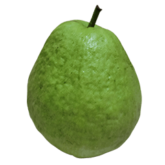 Food Series : Some Guava