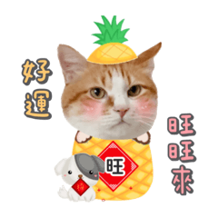 肉圓陪你過新年