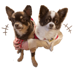 asako_20220113224623