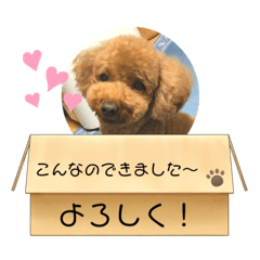 yuka_20220113221036