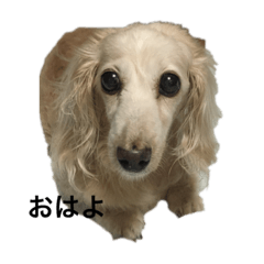 Momoko_20220113223109