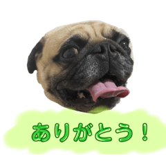 kuu_20220113224552
