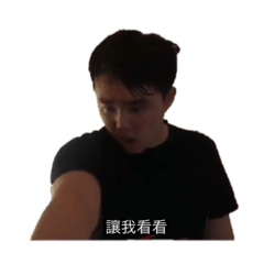 柏琪了