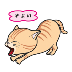 [Only for Yayoi](orange tabby)