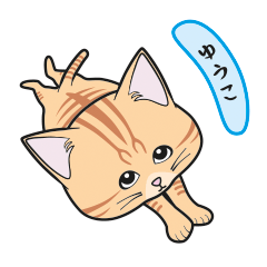 [Only for Yuuko](orange tabby)