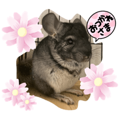 mizuki_20220113195342