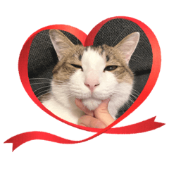 saori_20220113204421