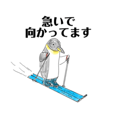 Kamiariduki_20220113213448