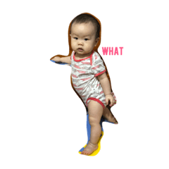 CarzyMax2