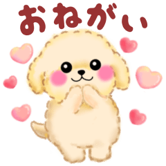 pretty toy poodles heart 2