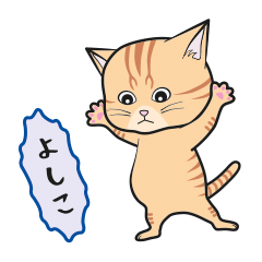 [Only for Yoshiko](orange tabby)