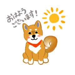 Shibainu feelings