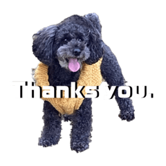 mizuki_20220114022210