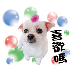 艾瑪寶貝話家常