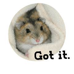 Hamster (photos with English words)