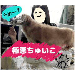 Nanami_20220114125757