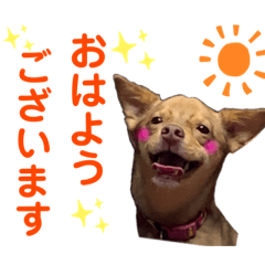 suzu_20220114094616