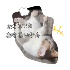 tomomi_20220114131726