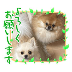 HANA_20220114124835