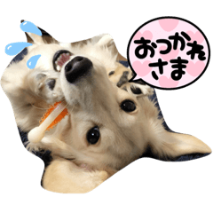 Ayumi_20220114133436