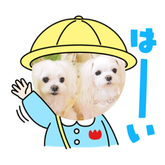 nanami_20220114135731