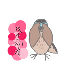 Otis跟小黑的gathering