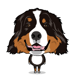 BERNESE MOUTAIN DOG J6 BROTHERS