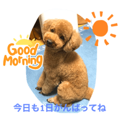 yuka_20220114175308