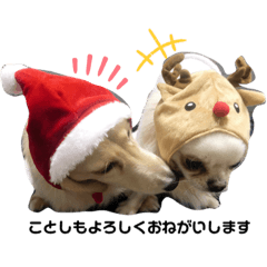 Ayumi_20220114195201