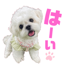 CHIE_20220114202708