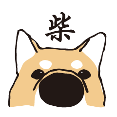 love shiba dog