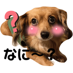 Ayumi_20220114220559