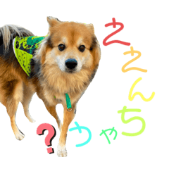 koumone_20220115003559