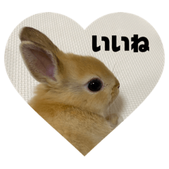 ayumi_20220114192913