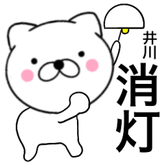 Name cat Igawa3