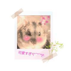 miki_20220114220818