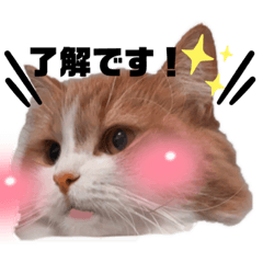 nanami_20220114190628