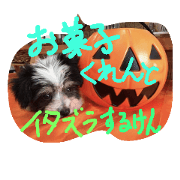 Hakata dog*