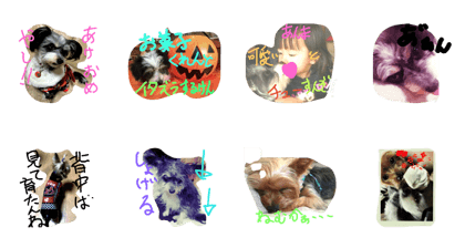 Hakata dog*