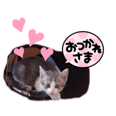 yuka_20220115020125