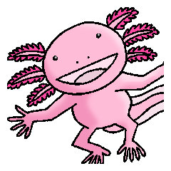 Cute Axolotl english01