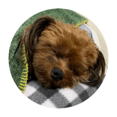 Kazuki_20220115110442