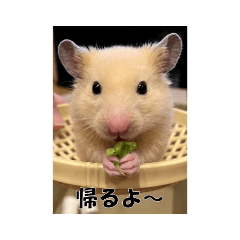 Takuya_20220115114816