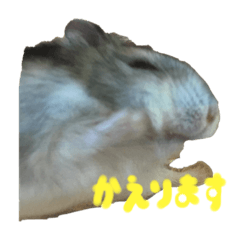 nanami_20220115125416